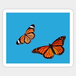 In Flight- Butterflies Sticker